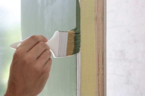 Best Mold Damage Restoration  in Medina, MN