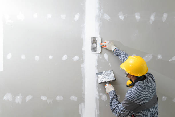 Best Emergency Mold Remediation  in Medina, MN