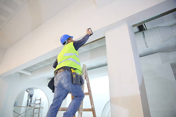 Best Post-Construction Mold Inspection  in Medina, MN