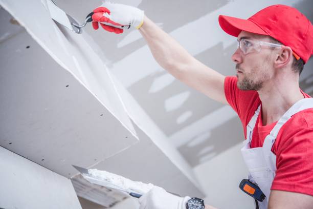 Best Mold Documentation for Insurance Claims  in Medina, MN